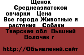 Щенок Среднеазиатской овчарки › Цена ­ 35 000 - Все города Животные и растения » Собаки   . Тверская обл.,Вышний Волочек г.